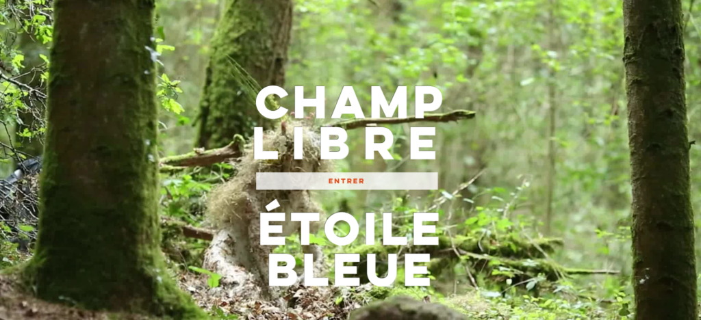 Театр "Драміком" на міжнародному фестивалі "Champ Limbre"